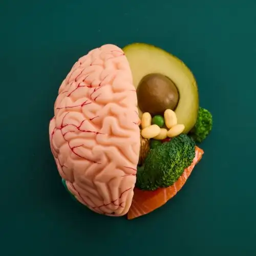 Representational brain image showing foods in it