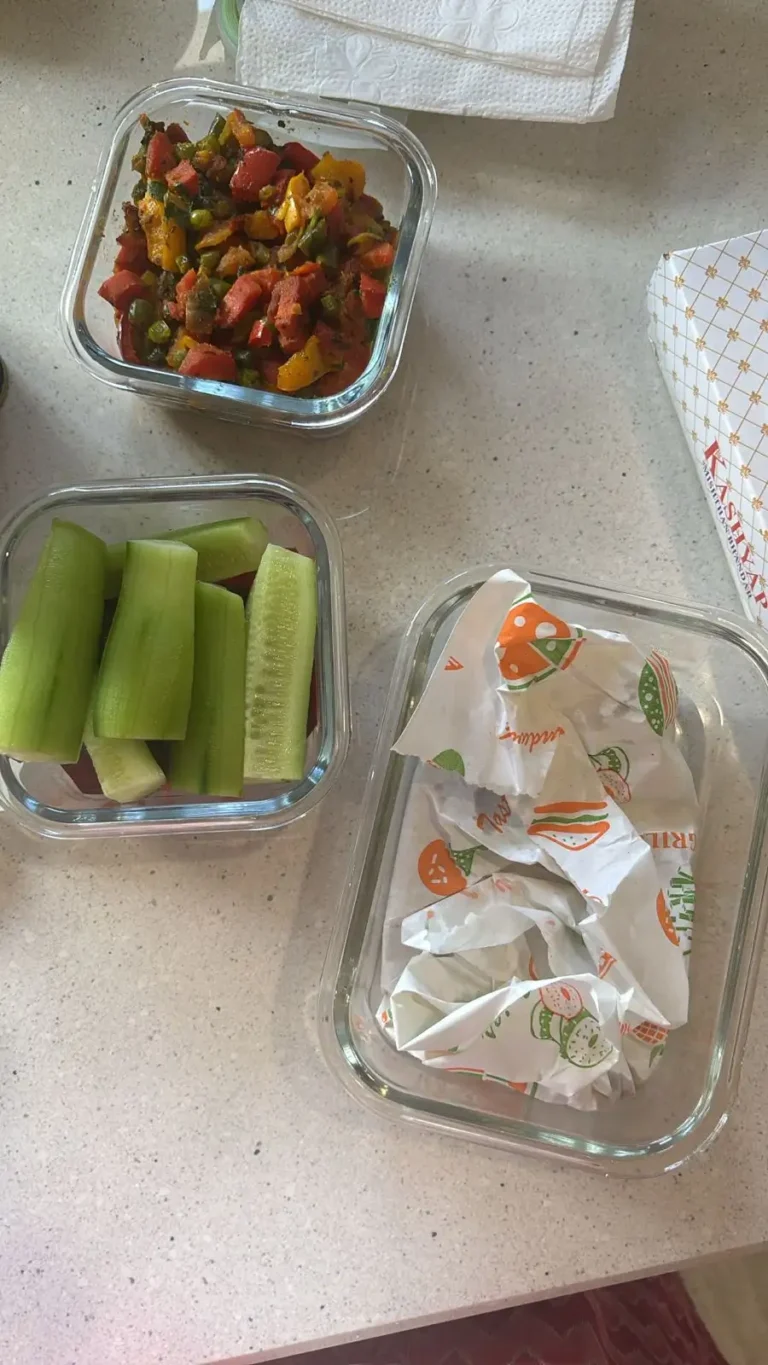 Diet tiffin box