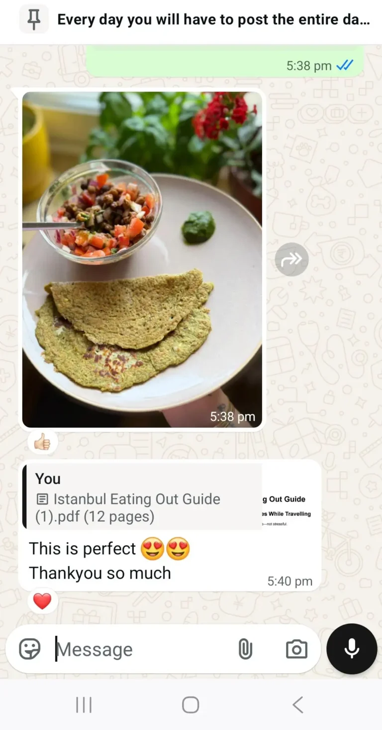 WhatsApp chat showing eating out guide for Instanbul travel is shared to client.