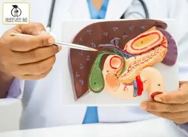 A liver demonstration model.