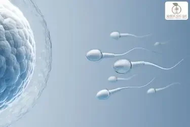 Fertility Detox Diet Plan by Fertility Dietitian in Mumbai - Dt. Foram Modi