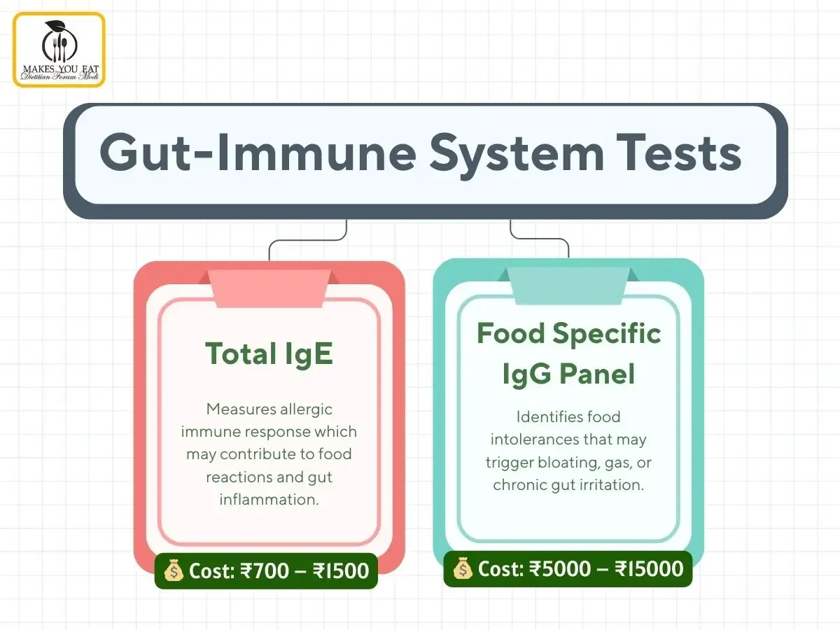 Infographic on Gut-Immune System Tests in India