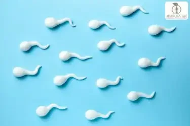 Male fertility diet plan by Fertility Dietitian Dt. Foram Modi