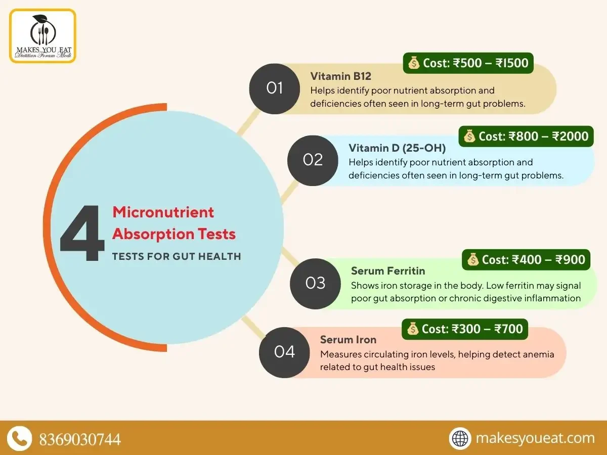 Infographic on Micronutrient Absorption Tests for Gut Health