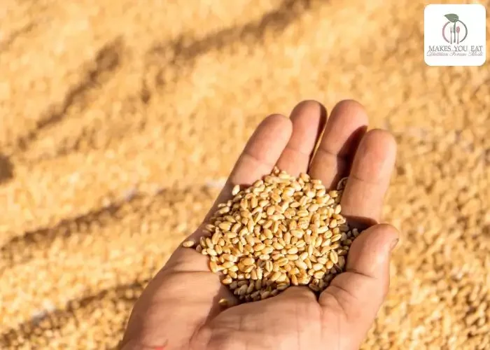 Ragi Flour vs Wheat Flour - Explained by Dietitian Foram Modi
